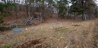 Panorama of the Black Cemetery west of Springfield