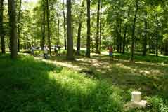 Visitors searching for gravestones in the cemetery.