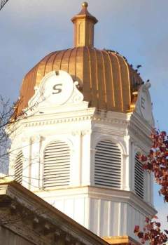 dome detail